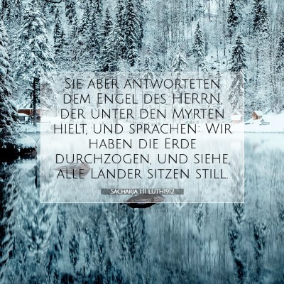 Picture 07 - Sacharja 1:11 LUTH1912 - Sie aber antworteten dem Engel des HERRN, der - Bible Verse Picture