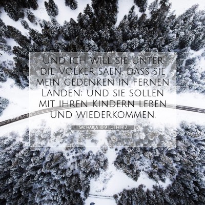 Picture 07 - Sacharja 10:9 LUTH1912 - Und ich will sie unter die Völker säen, daß - Bible Verse Picture