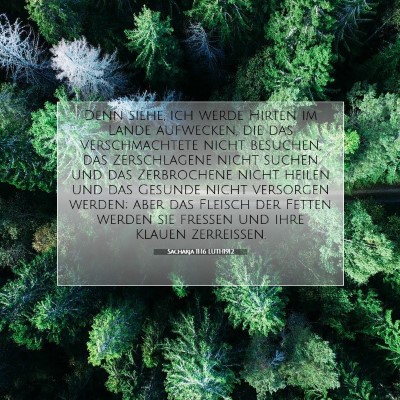 Picture 07 - Sacharja 11:16 LUTH1912 - Denn siehe, ich werde Hirten im Lande aufwecken, - Bible Verse Picture