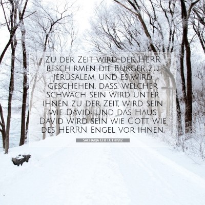 Picture 07 - Sacharja 12:8 LUTH1912 - Zu der Zeit wird der HERR beschirmen die Bürger - Bible Verse Picture