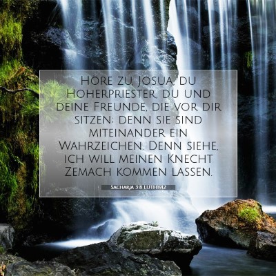 Picture 07 - Sacharja 3:8 LUTH1912 - Höre zu, Josua, du Hoherpriester, du und deine - Bible Verse Picture