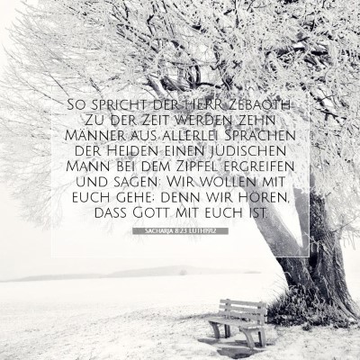 Picture 07 - Sacharja 8:23 LUTH1912 - So spricht der HERR Zebaoth: Zu der Zeit werden - Bible Verse Picture