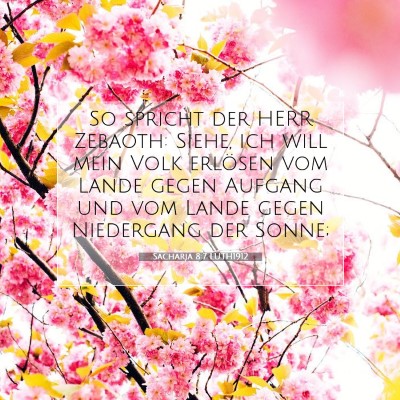 Picture 07 - Sacharja 8:7 LUTH1912 - So spricht der HERR Zebaoth: Siehe, ich will mein - Bible Verse Picture