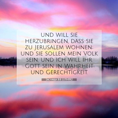Picture 07 - Sacharja 8:8 LUTH1912 - und will sie herzubringen, daß sie zu Jerusalem - Bible Verse Picture