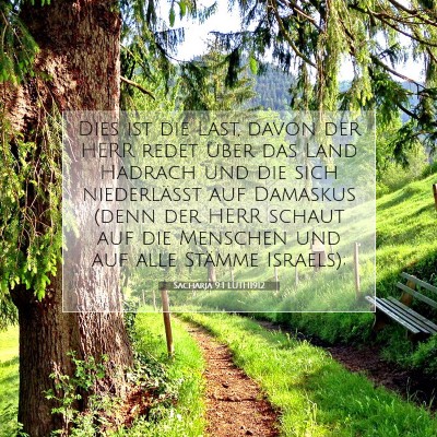 Picture 07 - Sacharja 9:1 LUTH1912 - Dies ist die Last, davon der HERR redet über das - Bible Verse Picture