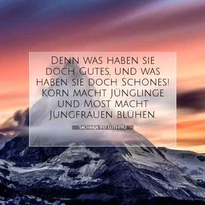 Picture 07 - Sacharja 9:17 LUTH1912 - Denn was haben sie doch Gutes, und was haben sie - Bible Verse Picture
