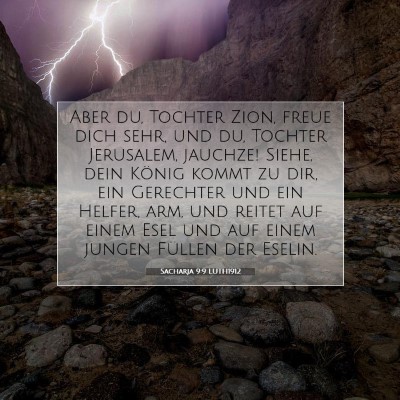Picture 07 - Sacharja 9:9 LUTH1912 - Aber du, Tochter Zion, freue dich sehr, und du, - Bible Verse Picture