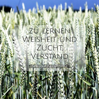 Picture 07 - Sprüche 1:2 LUTH1912 - zu lernen Weisheit und Zucht, - Bible Verse Picture