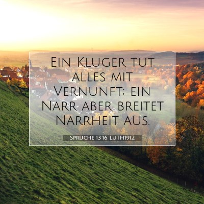 Picture 07 - Sprüche 13:16 LUTH1912 - Ein Kluger tut alles mit Vernunft; ein Narr aber - Bible Verse Picture
