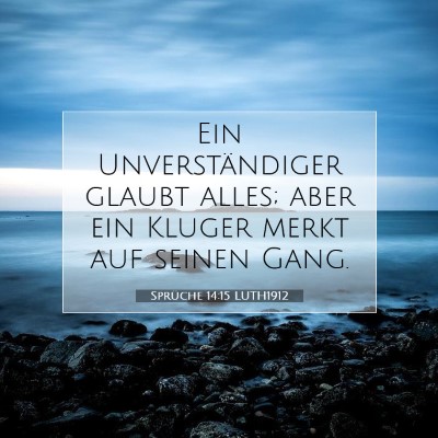 Picture 07 - Sprüche 14:15 LUTH1912 - Ein Unverständiger glaubt alles; aber ein Kluger - Bible Verse Picture