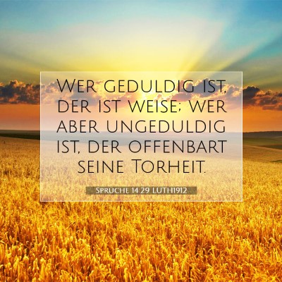 Picture 07 - Sprüche 14:29 LUTH1912 - Wer geduldig ist, der ist weise; wer aber - Bible Verse Picture