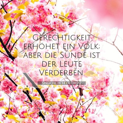 Picture 07 - Sprüche 14:34 LUTH1912 - Gerechtigkeit erhöhet ein Volk; aber die Sünde - Bible Verse Picture