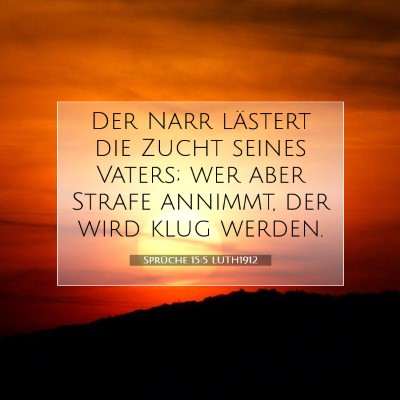 Picture 07 - Sprüche 15:5 LUTH1912 - Der Narr lästert die Zucht seines Vaters; wer - Bible Verse Picture