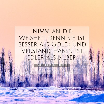 Picture 07 - Sprüche 16:16 LUTH1912 - Nimm an die Weisheit, denn sie ist besser als - Bible Verse Picture