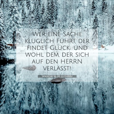 Picture 07 - Sprüche 16:20 LUTH1912 - Wer eine Sache klüglich führt, der findet - Bible Verse Picture
