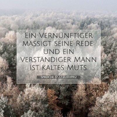 Picture 07 - Sprüche 17:27 LUTH1912 - Ein Vernünftiger mäßigt seine Rede; und ein - Bible Verse Picture