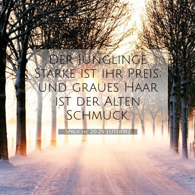 Picture 07 - Sprüche 20:29 LUTH1912 - Der Jünglinge Stärke ist ihr Preis; und graues - Bible Verse Picture