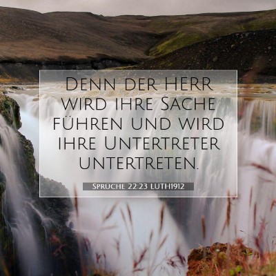 Picture 07 - Sprüche 22:23 LUTH1912 - Denn der HERR wird ihre Sache führen und wird - Bible Verse Picture