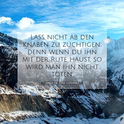 Picture 07 - Sprüche 23:13 LUTH1912 - Laß nicht ab den Knaben zu züchtigen; denn wenn - Bible Verse Picture