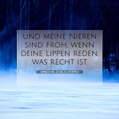 Picture 07 - Sprüche 23:16 LUTH1912 - und meine Nieren sind froh, wenn deine Lippen - Bible Verse Picture