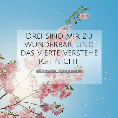 Picture 07 - Sprüche 30:18 LUTH1912 - Drei sind mir zu wunderbar, und das vierte - Bible Verse Picture