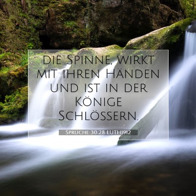 Picture 07 - Sprüche 30:28 LUTH1912 - die Spinne, wirkt mit ihren Händen und ist in - Bible Verse Picture