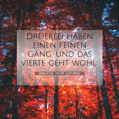 Picture 07 - Sprüche 30:29 LUTH1912 - Dreierlei haben einen feinen Gang, und das vierte - Bible Verse Picture