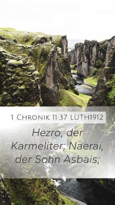 1 Chronik 11:37 LUTH1912 Bible Verse Image