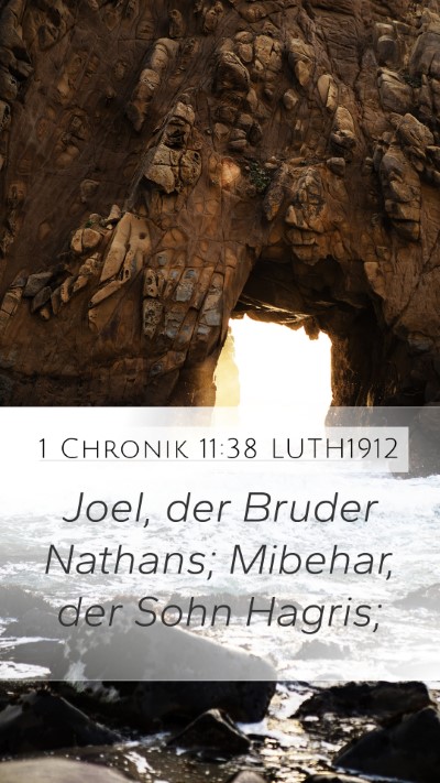 1 Chronik 11:38 LUTH1912 Bible Verse Image