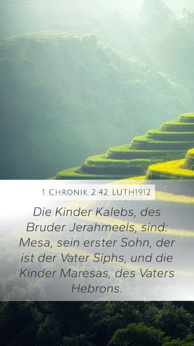1 Chronik 2:42 LUTH1912 Bible Verse Image