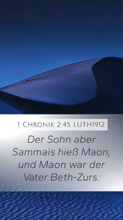 1 Chronik 2:45 LUTH1912 Bible Verse Image