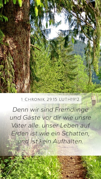 1 Chronik 29:15 LUTH1912 Bible Verse Image