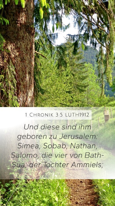 1 Chronik 3:5 LUTH1912 Bible Verse Image