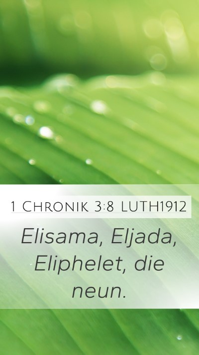 1 Chronik 3:8 LUTH1912 Bible Verse Image