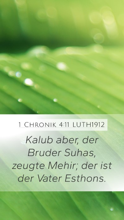 1 Chronik 4:11 LUTH1912 Mobile Phone Wallpaper - Kalub aber, der Bruder Suhas, zeugte Mehir; der - Mobile Bible Verse Wallpaper