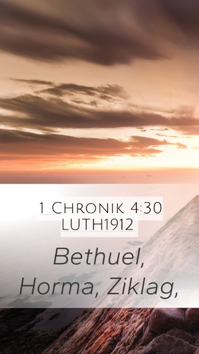 1 Chronik 4:30 LUTH1912 Bible Verse Image