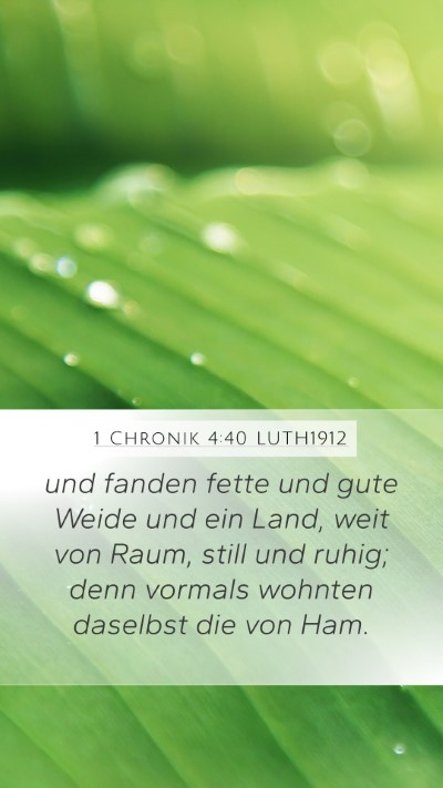 1 Chronik 4:40 LUTH1912 Bible Verse Image
