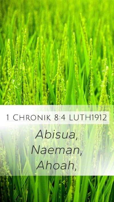 1 Chronik 8:4 LUTH1912 Bible Verse Image