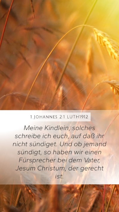 1 Johannes 2:1 LUTH1912 Bible Verse Image