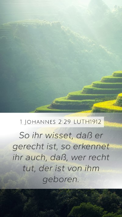1 Johannes 2:29 LUTH1912 Bible Verse Image