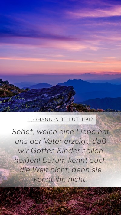1 Johannes 3:1 LUTH1912 Bible Verse Image
