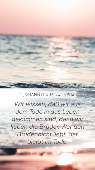 1 Johannes 3:14 LUTH1912 Bible Verse Image