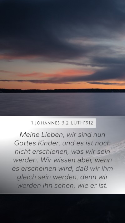 1 Johannes 3:2 LUTH1912 Bible Verse Image