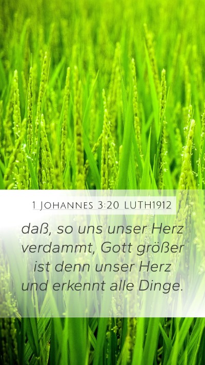 1 Johannes 3:20 LUTH1912 Bible Verse Image