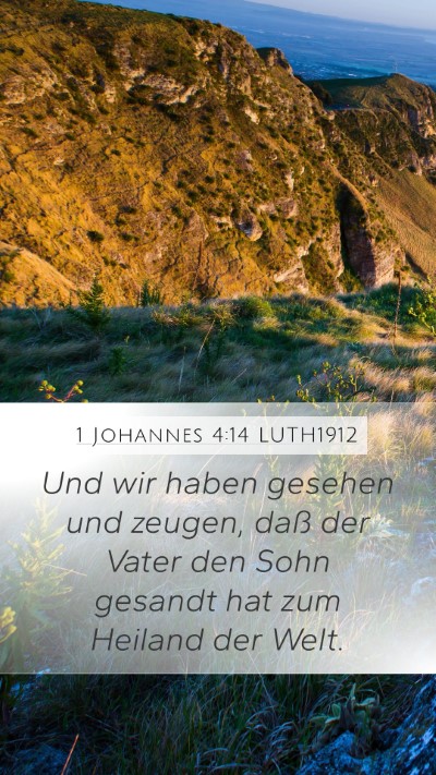 1 Johannes 4:14 LUTH1912 Bible Verse Image