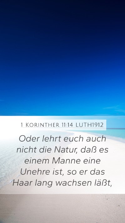 1 Korinther 11:14 LUTH1912 Bible Verse Image