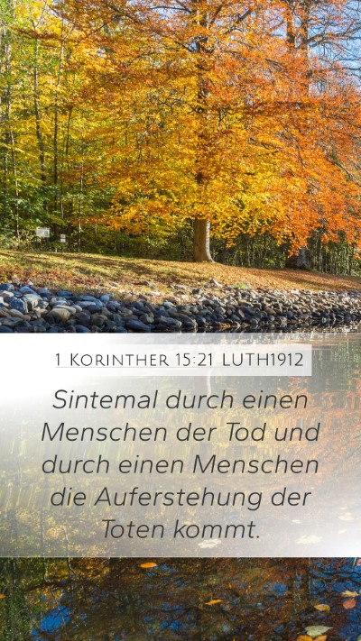 1 Korinther 15:21 LUTH1912 Bible Verse Image