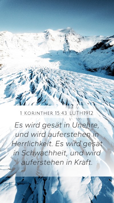 1 Korinther 15:43 LUTH1912 Bible Verse Image