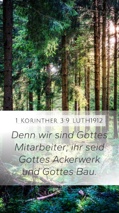 1 Korinther 3:9 LUTH1912 Bible Verse Image