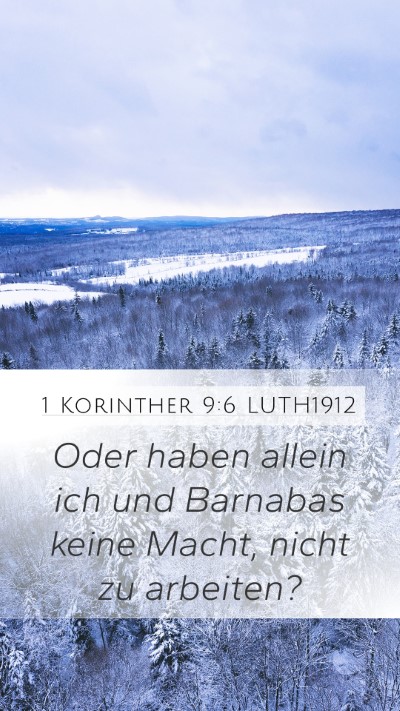 1 Korinther 9:6 LUTH1912 Bible Verse Image
